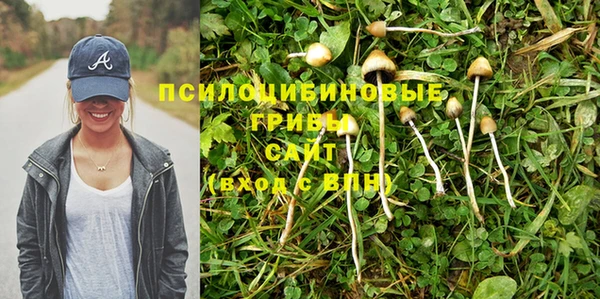 эйфоретик Алзамай
