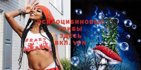 соль ск Алексеевка