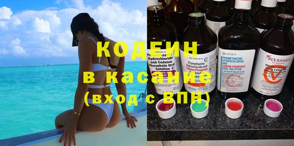 эйфоретик Алзамай