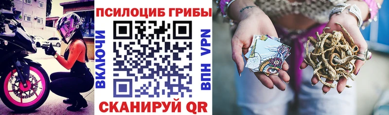 Галлюциногенные грибы MAGIC MUSHROOMS  Далматово 